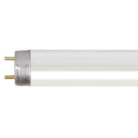 601886-FLUORESCENT LAMP 18W 60cm 6000K 1250Lm