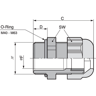 SKINTOP_STM1